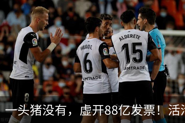 一头猪没有，虚开88亿发票！活活套走国企6000万
