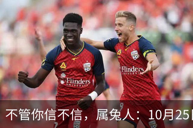 不管你信不信，属兔人：10月25日（农历九月十六），大事即将发生