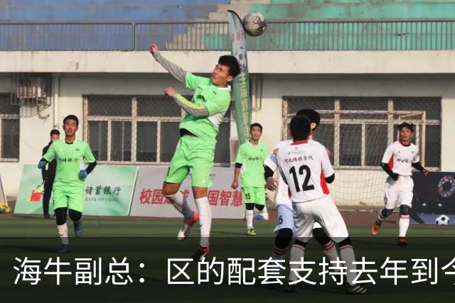 海牛副总：区的配套支持去年到今年都没落实，资金缺口4000万