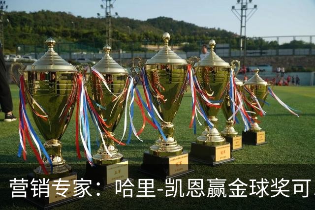 营销专家：哈里-凯恩赢金球奖可以挽救英国足球的声誉